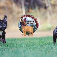 Brindle Boy, a male French Bulldog for sale in Spokane, WA – Photo 6 of 10