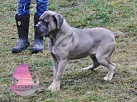 processed/a6d19e12-c0ea-4144-b952-1ac96d2c4bda/listing/fa385e8d-a5a6-4db8-9dfc-aa09e1a087e7/30405d64-d042-4281-8705-4985f0a783a4