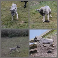 processed/a6d19e12-c0ea-4144-b952-1ac96d2c4bda/listing/fa385e8d-a5a6-4db8-9dfc-aa09e1a087e7/3168f911-5b87-43ea-8286-0c8a304a3dba