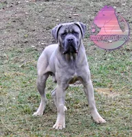 processed/a6d19e12-c0ea-4144-b952-1ac96d2c4bda/listing/fa385e8d-a5a6-4db8-9dfc-aa09e1a087e7/64ea40f8-82d2-4544-83e7-0ebd058babb9