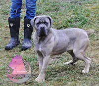 processed/a6d19e12-c0ea-4144-b952-1ac96d2c4bda/listing/fa385e8d-a5a6-4db8-9dfc-aa09e1a087e7/6c78d554-4284-4454-8f14-7d5396c168dd