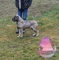 processed/a6d19e12-c0ea-4144-b952-1ac96d2c4bda/listing/fa385e8d-a5a6-4db8-9dfc-aa09e1a087e7/6e286fb3-656b-4edd-9c25-767850d678b6