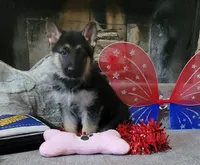 processed/a6d3505d-c6ed-4c1b-9270-7f17eb32df5c/facility/63224e70-cd4c-46cc-ae34-0e1697ee5ffe