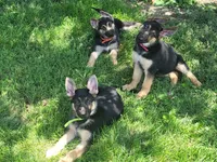 processed/a6d3505d-c6ed-4c1b-9270-7f17eb32df5c/facility/b73b2d39-2f06-4245-8805-ab9ad2c621c8