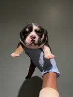 processed/a6e458a8-ddec-4c18-8552-ae836b4e9c9f/listing/d375f324-4965-453d-9467-2f29b6fad6c8/05767aa7-572a-49ea-b846-001fb77ee0e3