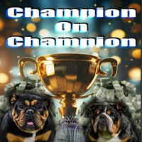 Blackjack, a male English Bulldog for sale in Lanham, MD – Photo 5 of 5