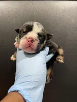 processed/a6e458a8-ddec-4c18-8552-ae836b4e9c9f/listing/d375f324-4965-453d-9467-2f29b6fad6c8/d2248cb6-ca5d-434b-9084-20d3b6546db1