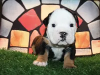 processed/a6e458a8-ddec-4c18-8552-ae836b4e9c9f/listing/fb6fc400-e225-4e0e-a255-ac5379443d81/b43f3714-82e5-4273-8d97-dbcfc6f2636d