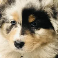 processed/a6f4947f-7820-4434-b41e-c176ebf553ce/facility/e65197f7-ca15-442e-b33c-e31a0a673ddf