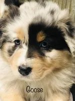 processed/a6f4947f-7820-4434-b41e-c176ebf553ce/facility/e65197f7-ca15-442e-b33c-e31a0a673ddf