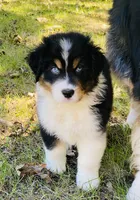 processed/a6f4947f-7820-4434-b41e-c176ebf553ce/listing/26defae5-f1ac-4d83-ad64-d2a0a4ce0ba9/08cd60cf-0511-4af4-8ce7-7e7969e63b13