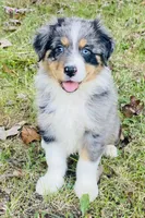 processed/a6f4947f-7820-4434-b41e-c176ebf553ce/listing/26defae5-f1ac-4d83-ad64-d2a0a4ce0ba9/108b0188-8734-478d-b383-d66ac26fe83c