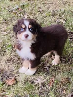 processed/a6f4947f-7820-4434-b41e-c176ebf553ce/listing/26defae5-f1ac-4d83-ad64-d2a0a4ce0ba9/1ccea333-e385-4b6e-921f-b449d8ed525b