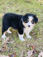 processed/a6f4947f-7820-4434-b41e-c176ebf553ce/listing/26defae5-f1ac-4d83-ad64-d2a0a4ce0ba9/23cc90c0-e929-4e2a-9373-b677bf3a2bd1