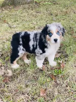 processed/a6f4947f-7820-4434-b41e-c176ebf553ce/listing/26defae5-f1ac-4d83-ad64-d2a0a4ce0ba9/a26fcdc0-bac6-4d87-a0b1-8986980642c2