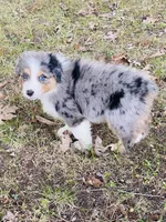 processed/a6f4947f-7820-4434-b41e-c176ebf553ce/listing/26defae5-f1ac-4d83-ad64-d2a0a4ce0ba9/c6666252-d752-4705-bfa4-5861c2004064