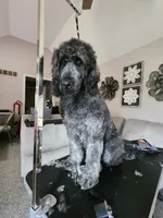 processed/a7040600-0535-484c-92a4-019069572bbe/facility/221ee07d-a5a4-469c-abf4-f46208ffaa86