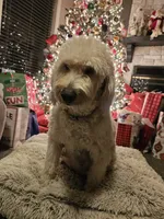 processed/a7040600-0535-484c-92a4-019069572bbe/facility/9900d399-b8c8-4cef-bff1-8bf00a19d217