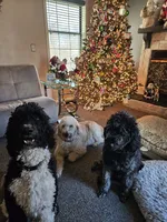 processed/a7040600-0535-484c-92a4-019069572bbe/facility/9b27c211-be51-4cb8-8737-d7ee97744e3b