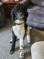 processed/a7040600-0535-484c-92a4-019069572bbe/facility/a86c3a64-5f62-4bec-b75d-fd6fe2664c78