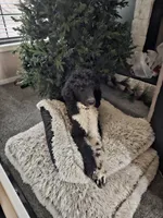 processed/a7040600-0535-484c-92a4-019069572bbe/facility/e2484caf-24fe-42f7-8dfc-00b3ec370d5e