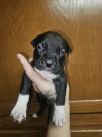 processed/a707d2fb-360e-4c2b-bd20-c1a5b192a06c/listing/91ef23b5-ee27-4d1d-97c9-c0adc5995356/07f42e25-e153-4644-848f-389f99bfd0e7