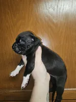 processed/a707d2fb-360e-4c2b-bd20-c1a5b192a06c/listing/91ef23b5-ee27-4d1d-97c9-c0adc5995356/247498aa-67c5-4e21-8d8b-74d6453b1fe4