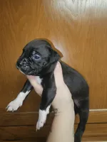 processed/a707d2fb-360e-4c2b-bd20-c1a5b192a06c/listing/91ef23b5-ee27-4d1d-97c9-c0adc5995356/e9665820-afd9-4515-a48f-ea6742d5224b