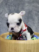 processed/a707d2fb-360e-4c2b-bd20-c1a5b192a06c/listing/92b8e689-33e0-4c68-82c0-a29cb04acd23/9beff814-e067-4104-94c5-33265036364f