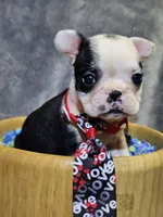 processed/a707d2fb-360e-4c2b-bd20-c1a5b192a06c/listing/92b8e689-33e0-4c68-82c0-a29cb04acd23/c300c630-b5dc-4c21-ae83-688b17049dab