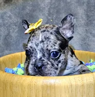 processed/a707d2fb-360e-4c2b-bd20-c1a5b192a06c/listing/dd9e311f-1c7d-43fa-9d5f-9bc839532ad5/9da42288-2b0a-4094-a0cc-2c56b26cd2aa