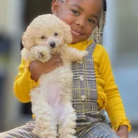 processed/a7135e23-82c6-4a2d-ad58-27e5da497b52/facility/21224f5d-a2d8-4f61-ba45-fb0eb1255c30