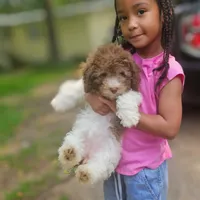 processed/a7135e23-82c6-4a2d-ad58-27e5da497b52/facility/d5b057af-7f8e-4925-b8b1-eea12cd25e86