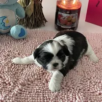 processed/a71dcb61-424a-4179-8c20-6027391ff07e/facility/37b9de16-ae67-4564-af51-2db918ee7f55