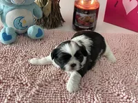 processed/a71dcb61-424a-4179-8c20-6027391ff07e/facility/37b9de16-ae67-4564-af51-2db918ee7f55