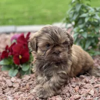 processed/a71dcb61-424a-4179-8c20-6027391ff07e/facility/69c4d320-9b58-41a6-8749-bd5d39068609