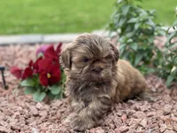 processed/a71dcb61-424a-4179-8c20-6027391ff07e/facility/69c4d320-9b58-41a6-8749-bd5d39068609