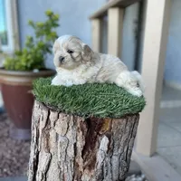 processed/a71dcb61-424a-4179-8c20-6027391ff07e/facility/94bd4c5a-9220-4a25-90b8-ec32c92a3079