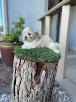 processed/a71dcb61-424a-4179-8c20-6027391ff07e/facility/94bd4c5a-9220-4a25-90b8-ec32c92a3079