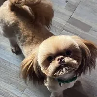 processed/a71dcb61-424a-4179-8c20-6027391ff07e/facility/a85e6dc5-80d8-4b8c-a680-356bffefcf47