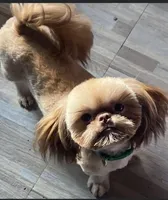 processed/a71dcb61-424a-4179-8c20-6027391ff07e/facility/a85e6dc5-80d8-4b8c-a680-356bffefcf47