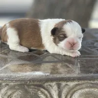 processed/a71dcb61-424a-4179-8c20-6027391ff07e/facility/a9d18bd8-c138-4ce0-a284-8d888b0b8d21