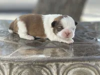 processed/a71dcb61-424a-4179-8c20-6027391ff07e/facility/a9d18bd8-c138-4ce0-a284-8d888b0b8d21