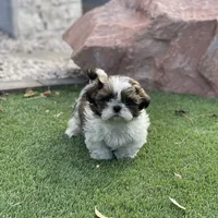 processed/a71dcb61-424a-4179-8c20-6027391ff07e/facility/b7e81c1a-a80b-4c12-b416-ccaa2a0a719b