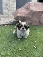 processed/a71dcb61-424a-4179-8c20-6027391ff07e/facility/b7e81c1a-a80b-4c12-b416-ccaa2a0a719b