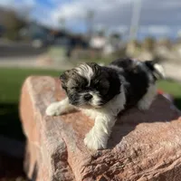 processed/a71dcb61-424a-4179-8c20-6027391ff07e/facility/c326edb3-25df-47cc-beb6-7bfb8bad8dac