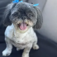 processed/a71dcb61-424a-4179-8c20-6027391ff07e/facility/c533e269-758d-43fe-afda-e98dda53d57b