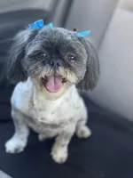 processed/a71dcb61-424a-4179-8c20-6027391ff07e/facility/c533e269-758d-43fe-afda-e98dda53d57b