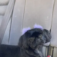 processed/a71dcb61-424a-4179-8c20-6027391ff07e/facility/f07ae07e-d2d3-43f0-a4db-9e38fdb793e1