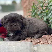 processed/a71dcb61-424a-4179-8c20-6027391ff07e/facility/feb9a865-d884-440e-95c8-c82c0364a7f1